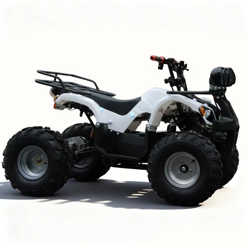 Kids Outdoor Electric Quad - Quad électrique pour enfants 750W 48V,